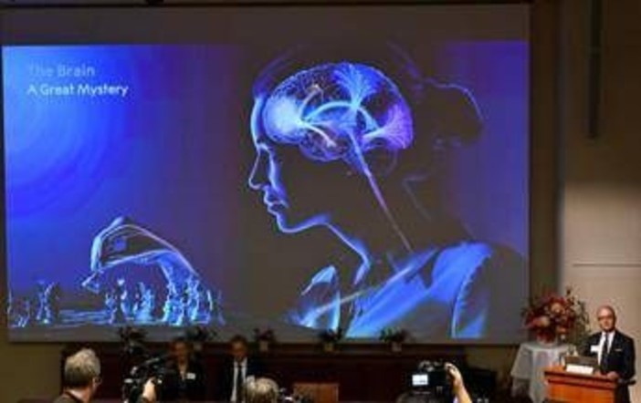 Un’alga e una luce blu: così è nata la scoperta che ha vinto il Nobel per la Medicina 2026