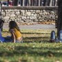 Rimonta l'alta pressione, tornano sole e caldo estivo (ma solo di giorno): le previsioni meteo