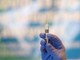 Vaccini, igienista Icardi: &quot;Anti-pneumococco 21-valente importante per gli anziani&quot;