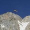 Monte Bianco, alpinista precipita e muore sulla Cresta del Brouillard