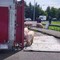 Camion si ribalta nel reggiano, maiali in fuga sulla via Emilia