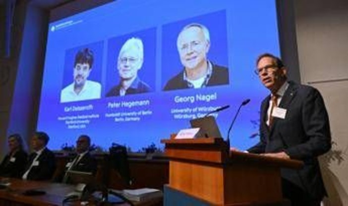 Nobel per la Medicina a Karl Deisseroth, Peter Hegemann e Georg Nagel Nobel per la Medicina a Karl Deisseroth, Peter Hegemann e Georg Nagel