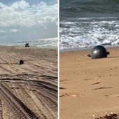 Australia, il mistero delle 'palle spaziali' in spiaggia: possono essere tossiche Australia, il mistero delle 'palle spaziali' in spiaggia: possono essere tossiche