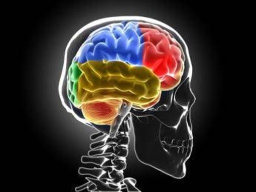 Sistema di 'lavaggio' in tilt, ecco cosa succede al cervello senza sonno Sistema di 'lavaggio' in tilt, ecco cosa succede al cervello senza sonno