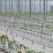 Bayer apre le porte all’innovazione, nuove serre hi-tech a Latina
