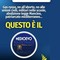 Partito Liberaldemocratico: "Programma Vannacci? Altro che 'Futuro', è 'Medioevo Nazionale'" Partito Liberaldemocratico: "Programma Vannacci? Altro che 'Futuro', è 'Medioevo Nazionale'"