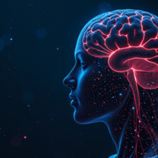 Estate, i consigli dei neurologi per la salute del cervello in vacanza