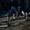 Notte di attacchi incrociati tra Mosca e Ucraina Notte di attacchi incrociati tra Mosca e Ucraina