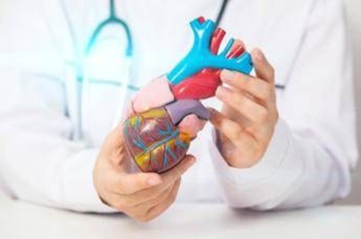 Cardiomiopatia ipertrofica ostruttiva: "Terapia innovativa efficace e sicura a 5 anni"