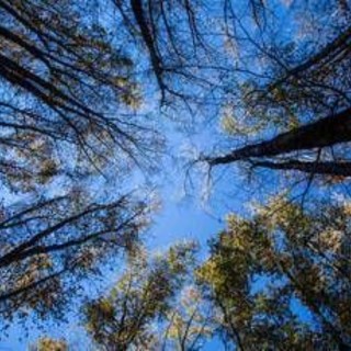 L'estate di San Martino non delude, stop alla pioggia arrivano beltempo e temperature miti