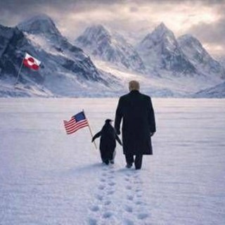 Trump, la Groenlandia e la foto col pinguino: stavolta la Casa Bianca stecca Trump, la Groenlandia e la foto col pinguino: stavolta la Casa Bianca stecca