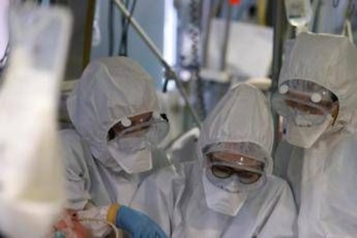 Virus Shamonda, "no casi umani in Italia, attenzione rafforzata": la circolare del ministero dell a Salute Virus Shamonda, "no casi umani in Italia, attenzione rafforzata": la circolare del ministero dell a Salute